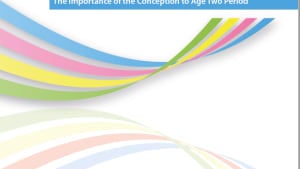 1001 Critical Days: The Importance of the Conception to Age Two Period